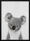 Peekaboo Baby Koala - Lola Peacock 24x36 Black Framed Art | Home or Office Art